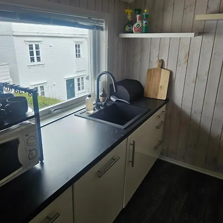 Koselig Enebolig I Sentrum Appartement